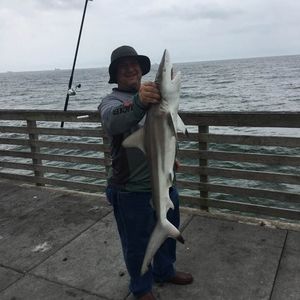 Meet your Posher, Miguel